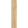 Selva beige 2