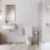 Porcelanosa Image Silver 25×44.3cm