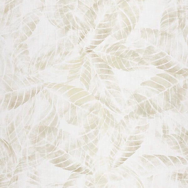 skins calactea beige