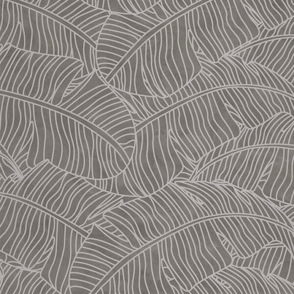 skins ficus coal