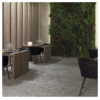 Porcelanosa Ceppo Stone 80x80cm