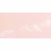Rosa Pink Flat Gloss