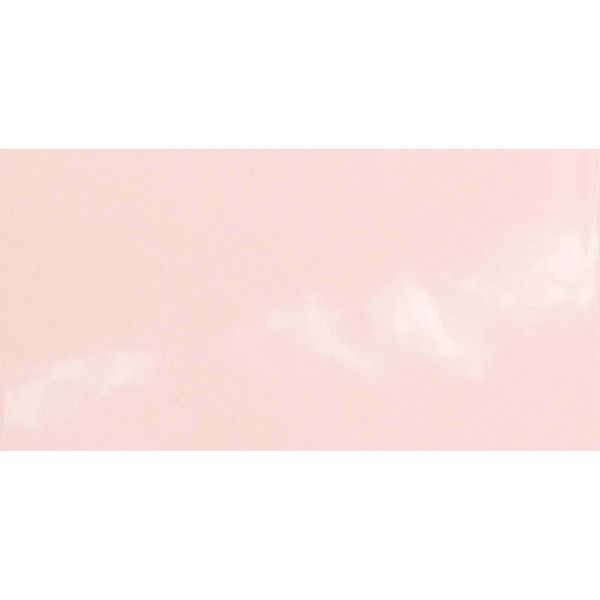 Rosa Pink Flat Gloss